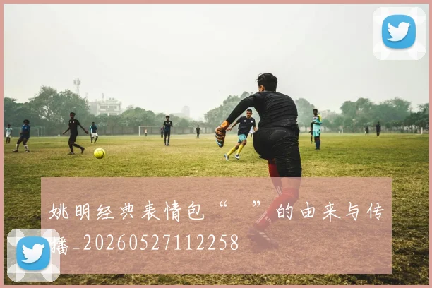 姚明经典表情包“囧”的由来与传播_20260527112258