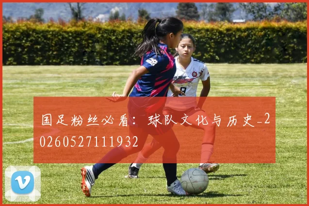 国足粉丝必看:球队文化与历史_20260527111932