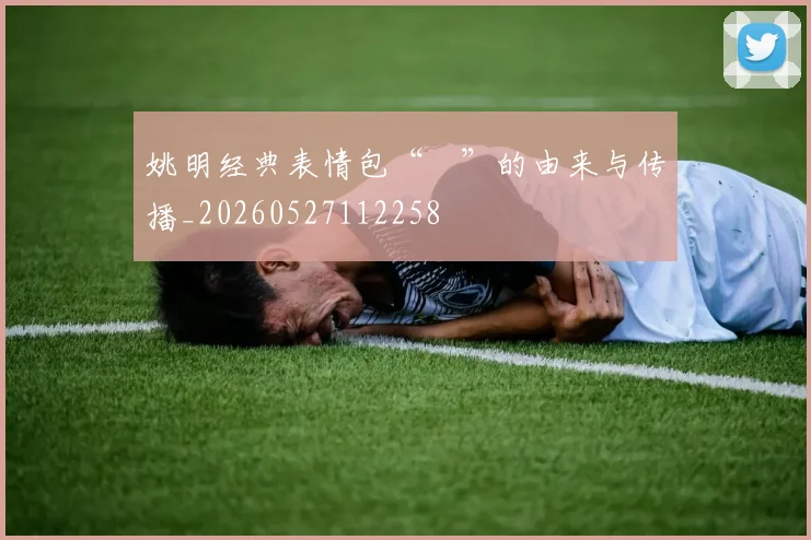 姚明经典表情包“囧”的由来与传播_20260527112258
